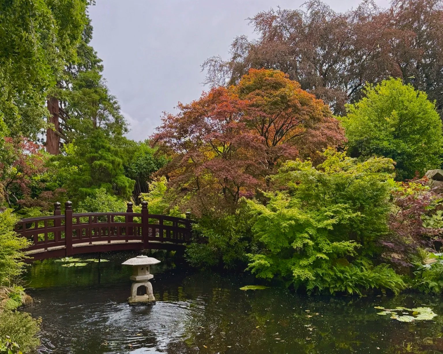 Grantley Hall Japanese garden with lots of trees in the background green and a bit red with a brown bridge on the left hand side over some water with a Japanese water feature tower in front.