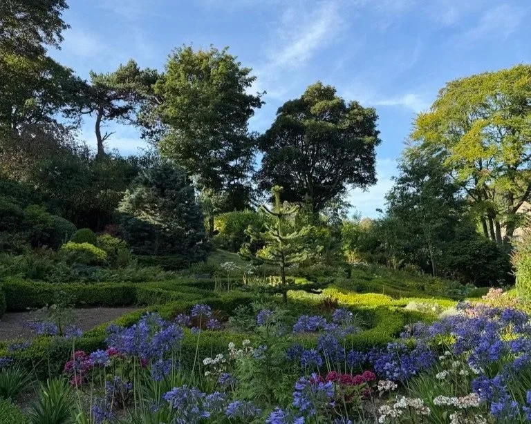 Flower garden of white, pink and purple blue flowers with bushes and trees and a blue sky in the background.