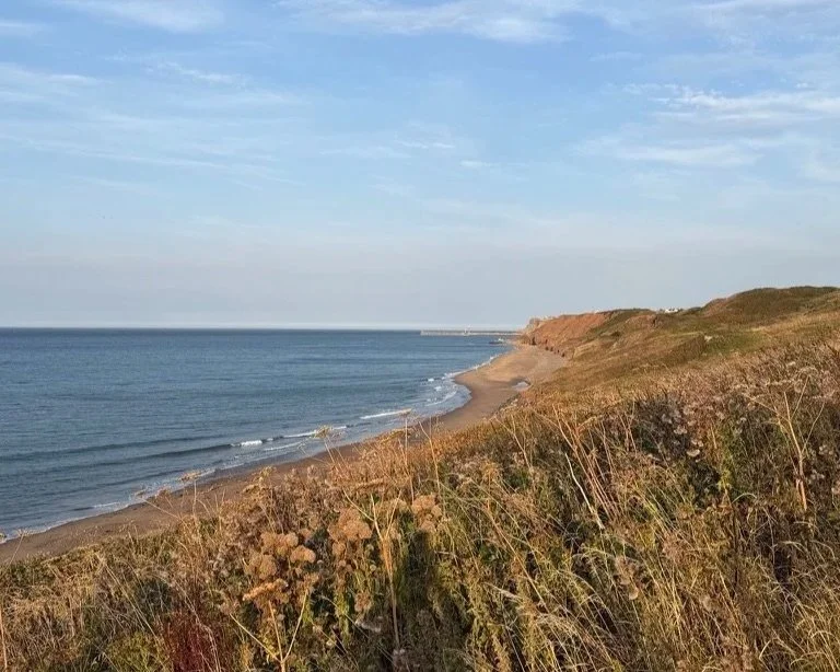 View from the top of a cliff of a sandy beach, the sea and grassy bank.