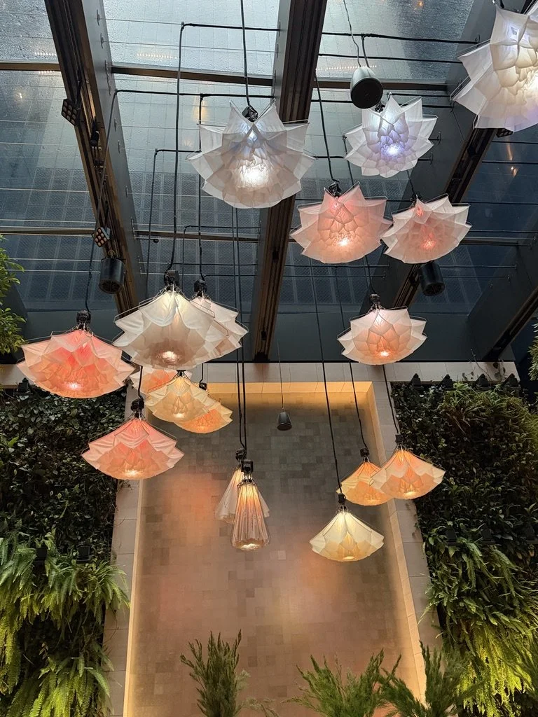 Flower umbrella style illuminated lights below a rainy glass ceiling at Capella Hotel Sydney.