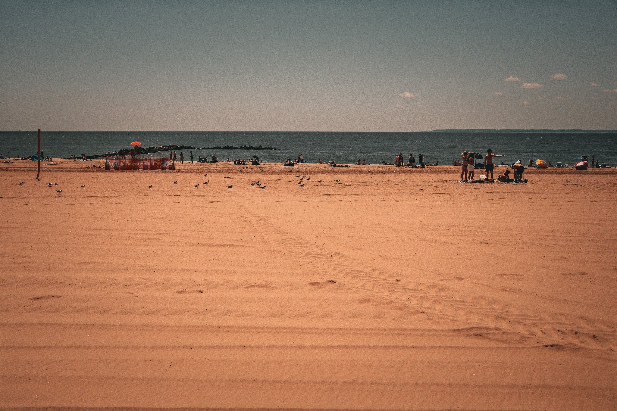 DSCF3511.jpg