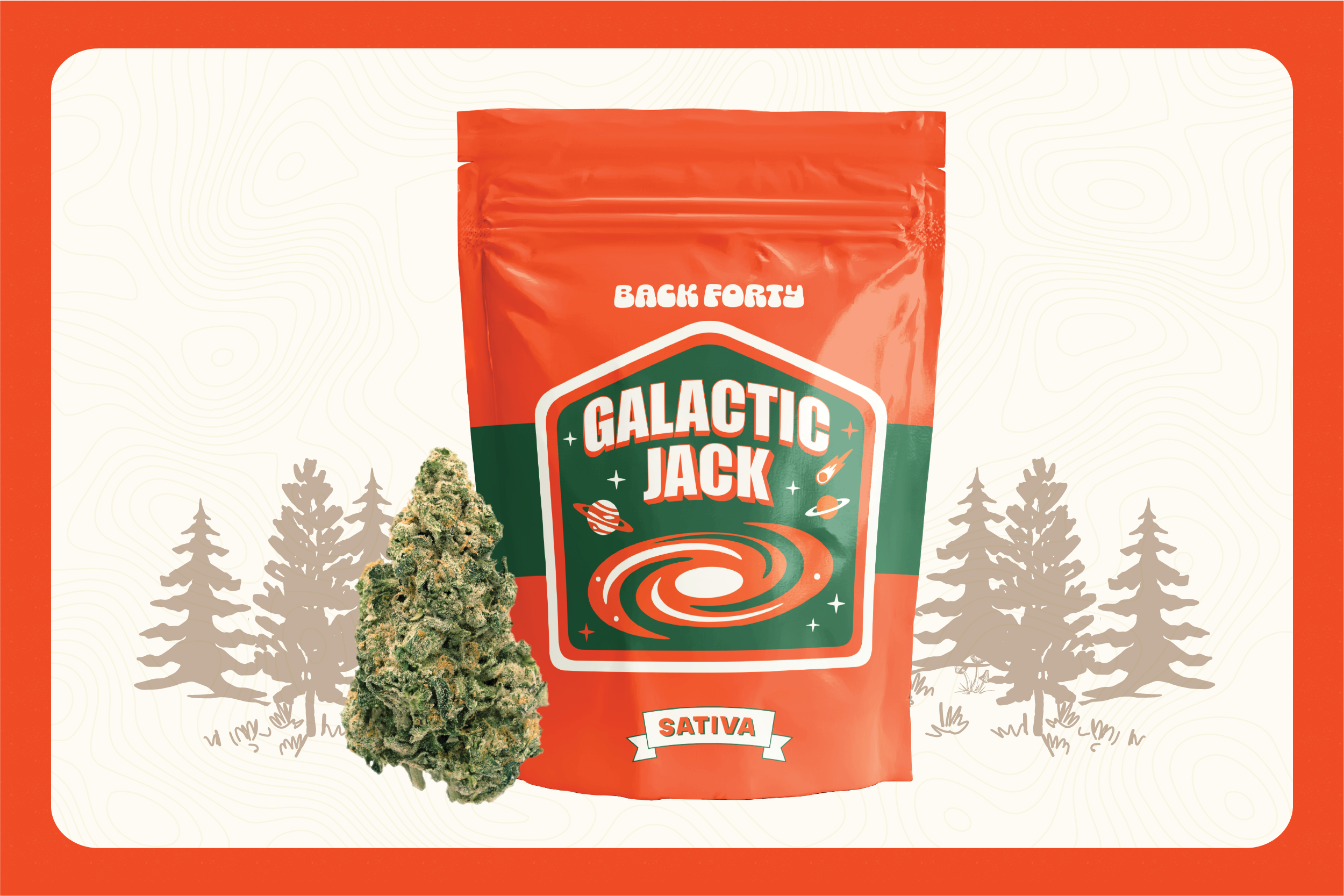DISCOVER GALACTIC JACK