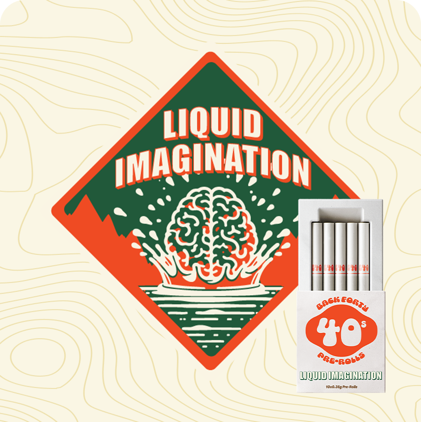 LIQUID IMAGINATION