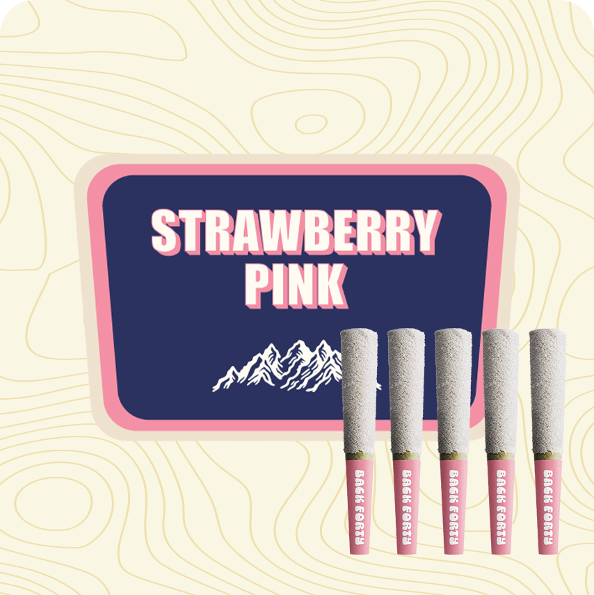 b40_infusedprerolls_frostedicicles_strawberrypink.png