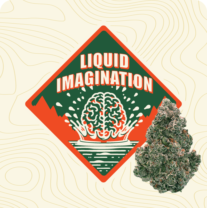 b40_flower_whole_liquidimagination.png