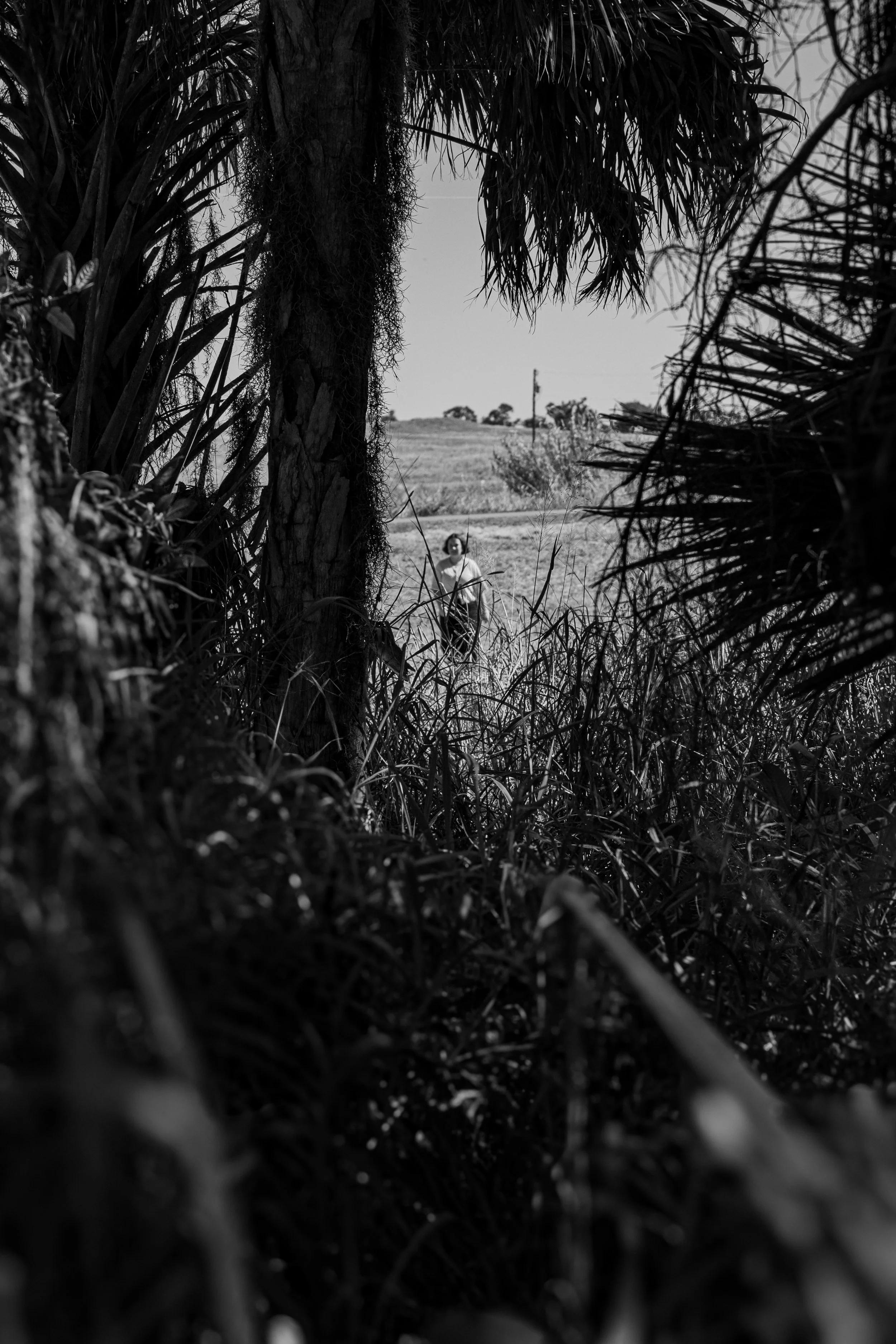 A woman standing in a field seen through tall grass and trees. The scene is in black and white, with the woman in the distance.