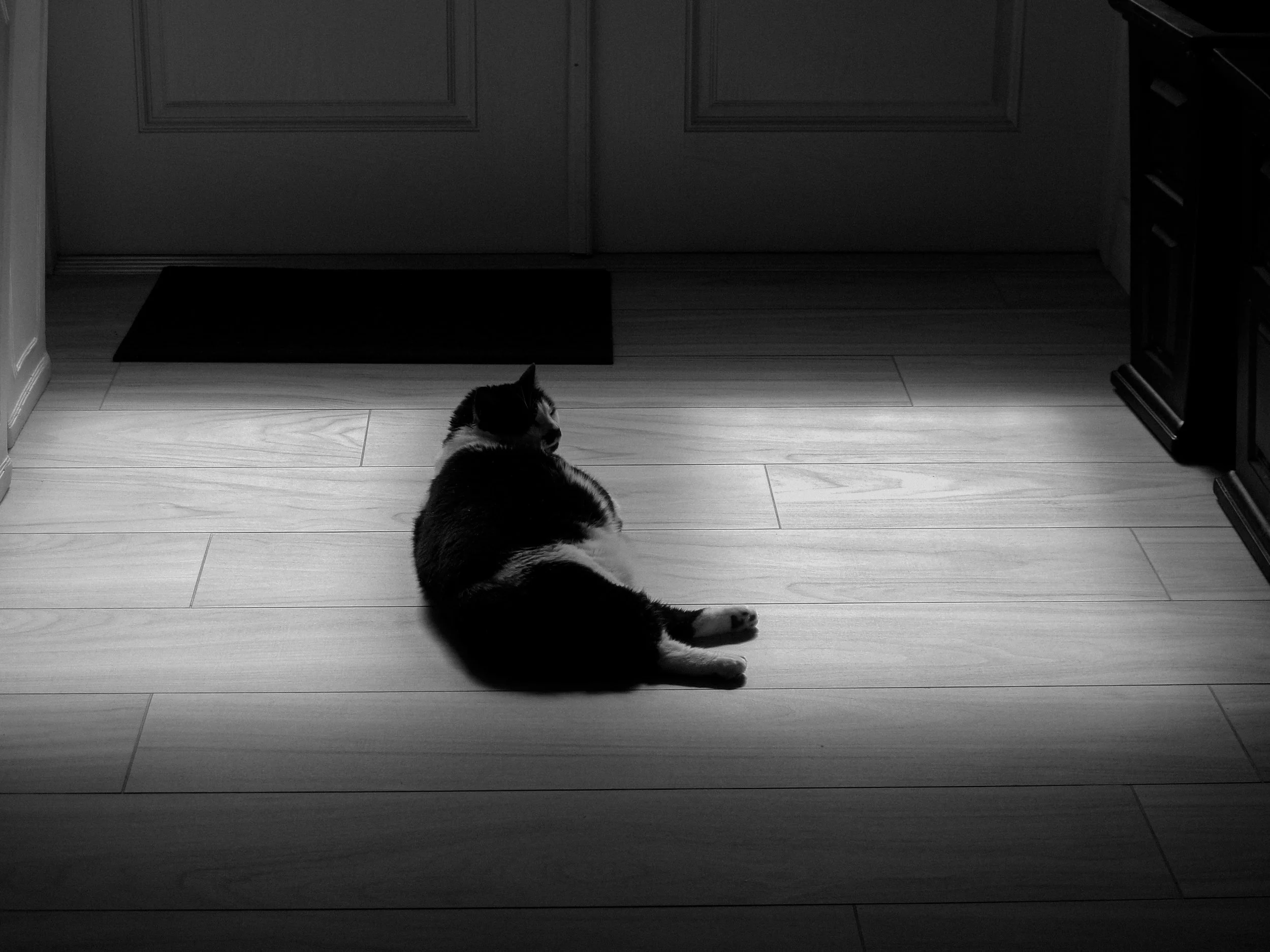 A black and white photo of a cat lying on a wooden floor facing away from the camera, with closed eyes, near a door and a piece of furniture.