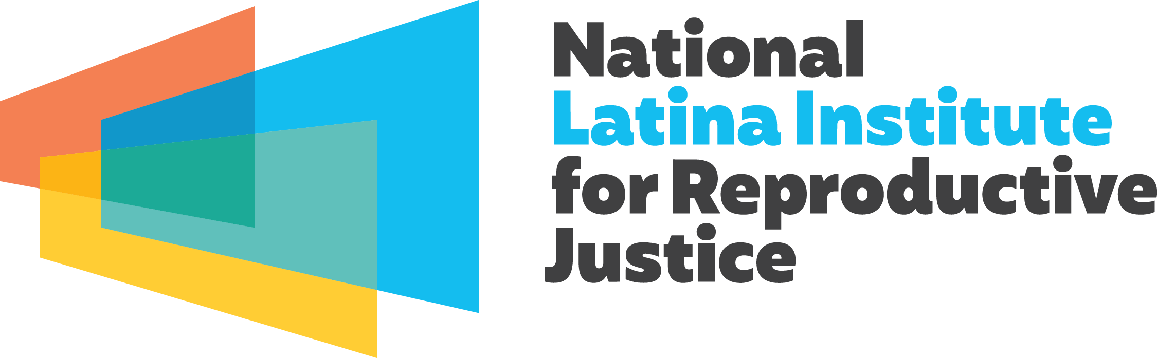 NLIRJ_LOGO_RGB-Transparent (1)[94][87][20] - Yamila Ruiz.png