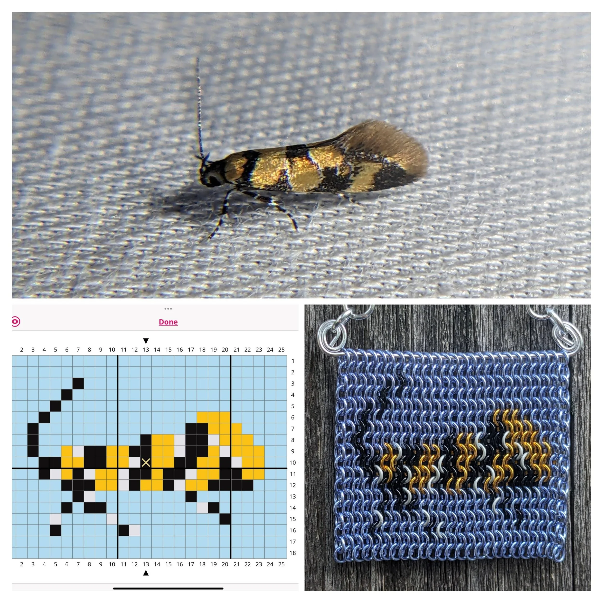 This is a Reticulated Decantha Moth, one of the prettiest micro moths in my opinion. Top photo is a photo I took, lower left is the pattern I made, and the lower right is the finished inlay.  