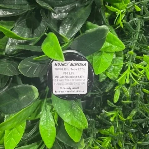 Honey Mimosa