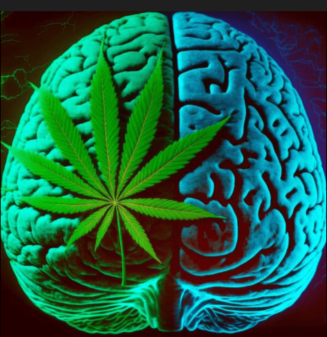 A digitally illustrated human brain with a cannabis leaf laid over one hemisphere, glowing in green and blue hues.