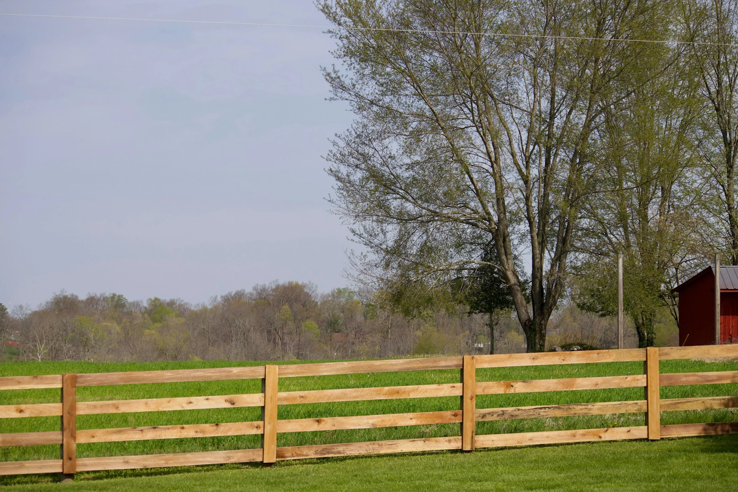 A wooden fence in a grassy backyard with a large tree and a red barn in the background on a cloudy day.