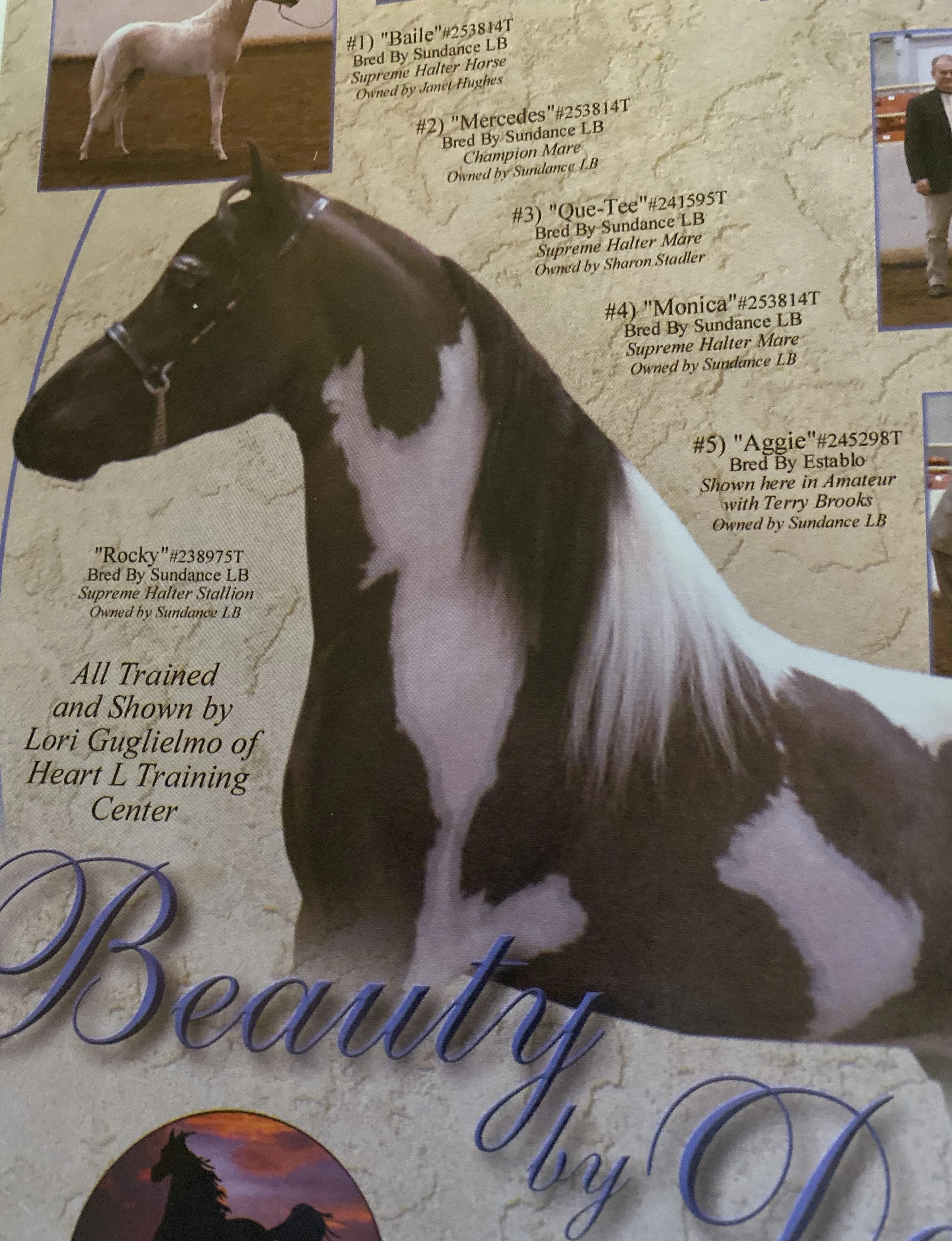 website Ad Rocky.jpg
