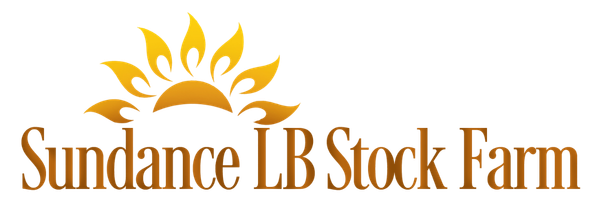 Sundance LB Stock Farm