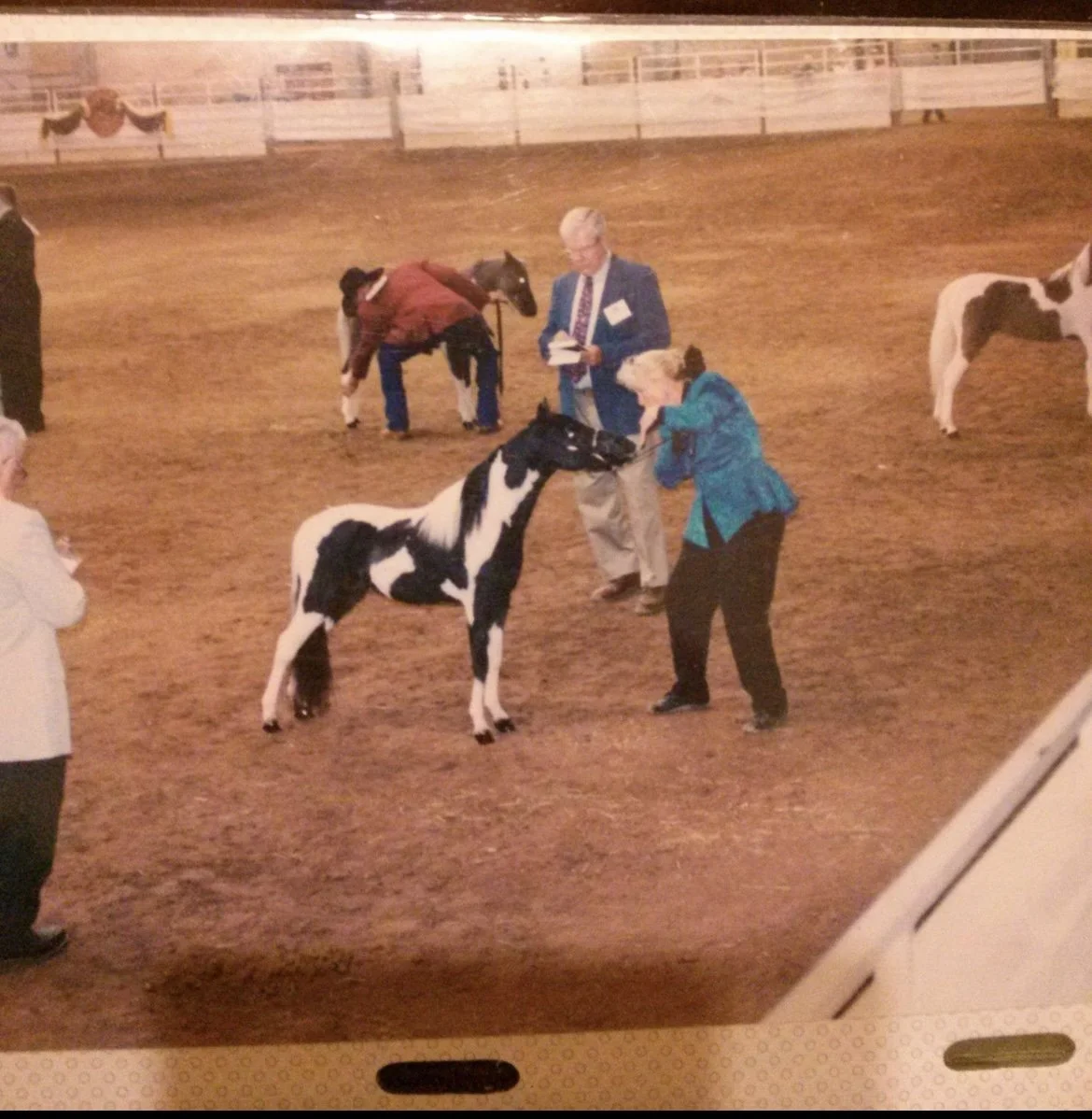 A black and white pinto horse in a show ring, being groomed and examined by two women, with other horses and people in the background at a horse competition.
