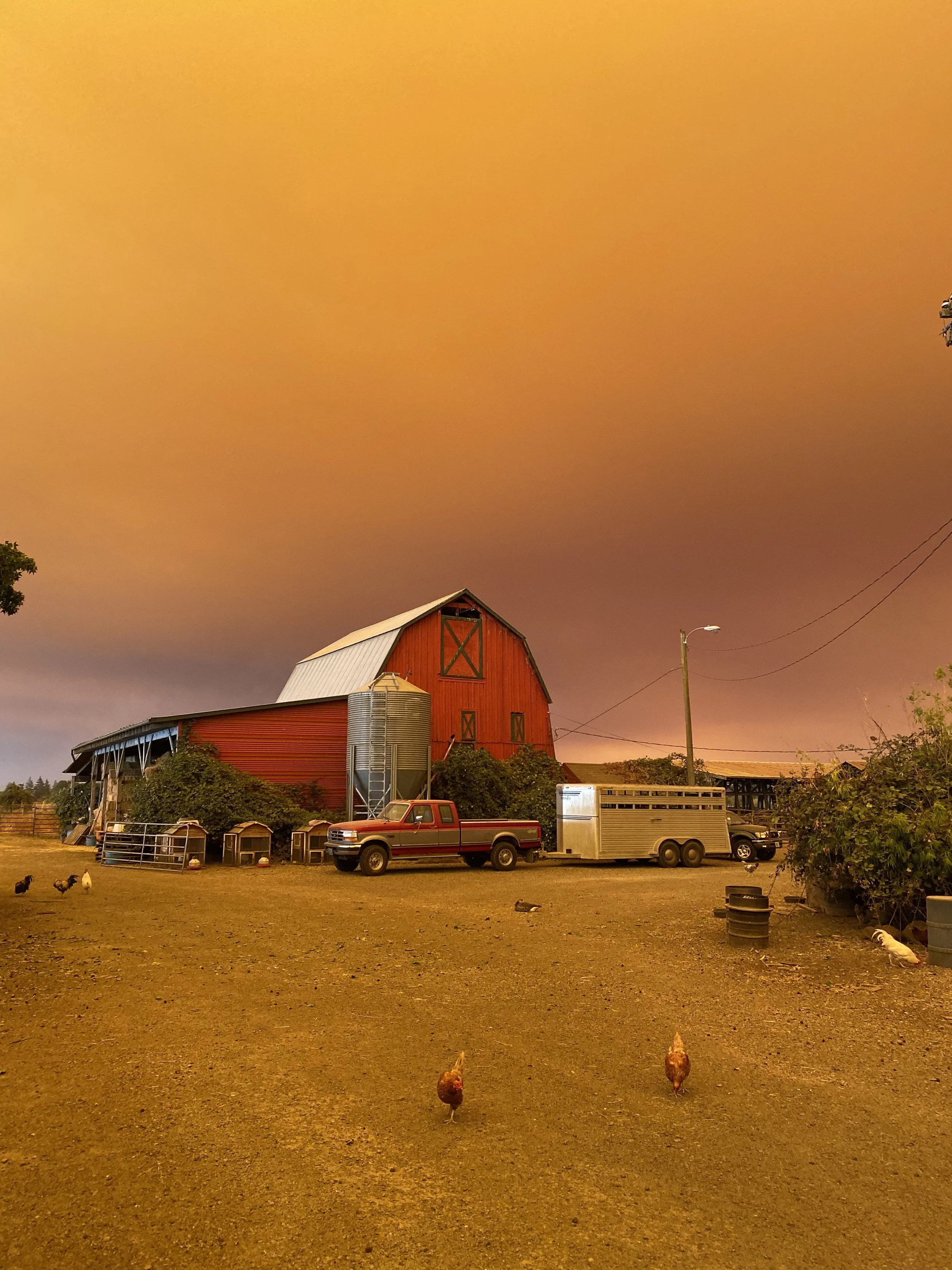 website barnyard w smoke.jpeg