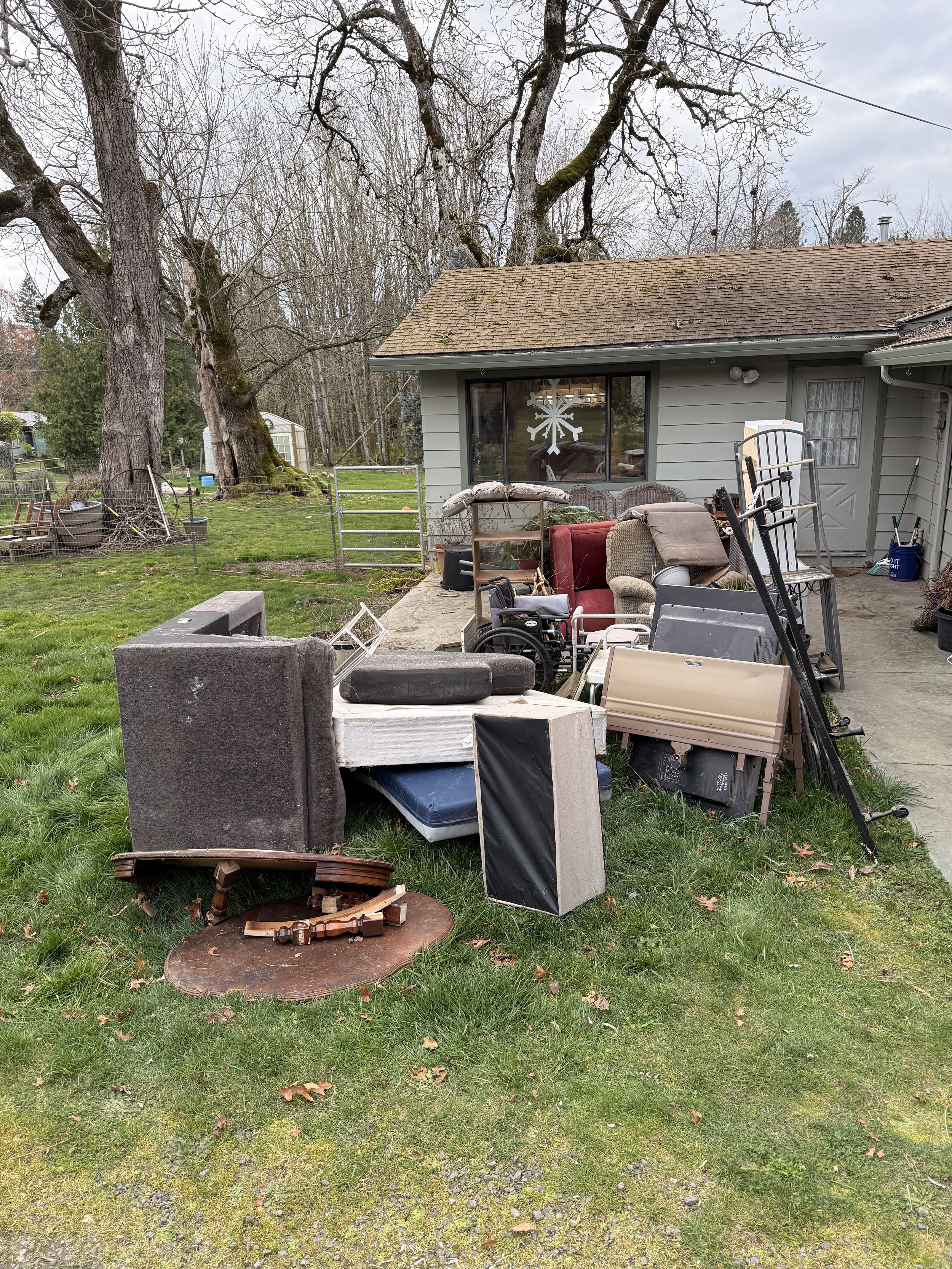 Disorganized backyard with various furniture, including a gray armchair, a red upholstered chair, and random objects, in front of a house with a window bearing a snowflake decoration, and large trees and a fence in the background.