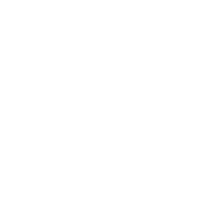 IG logo WHITE.png