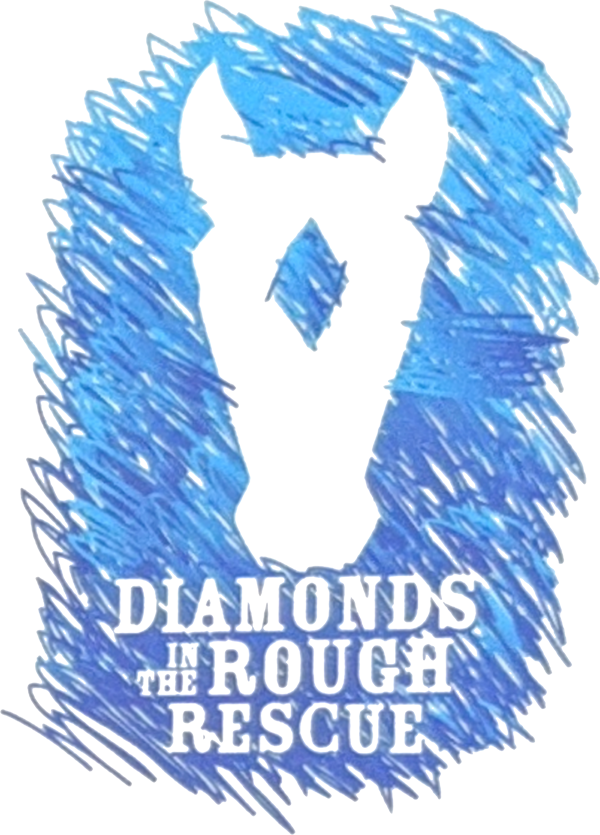 Diamonds-in-the-Rough-Rescue-Logo.png