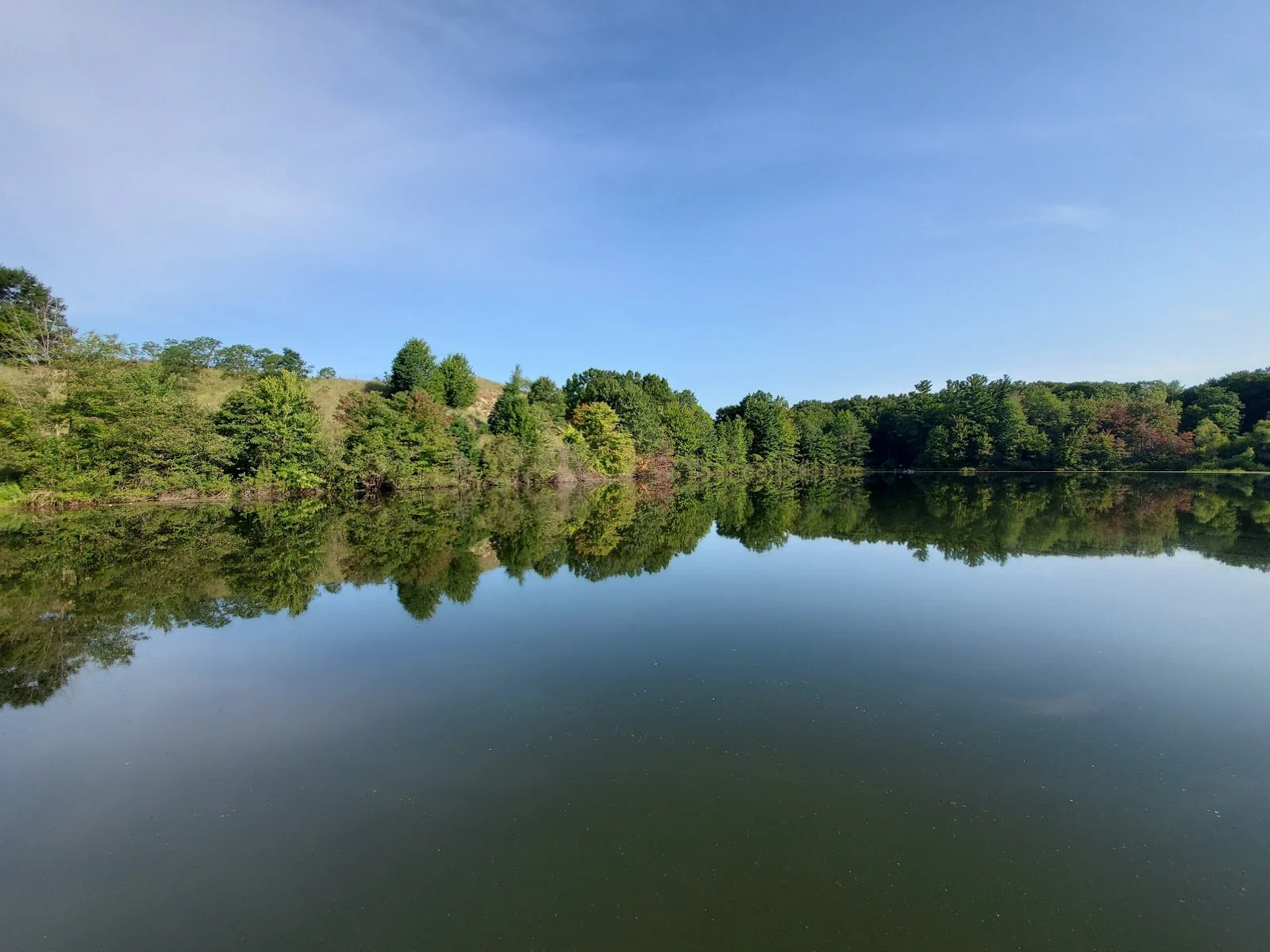 lakegoshorn.jpg