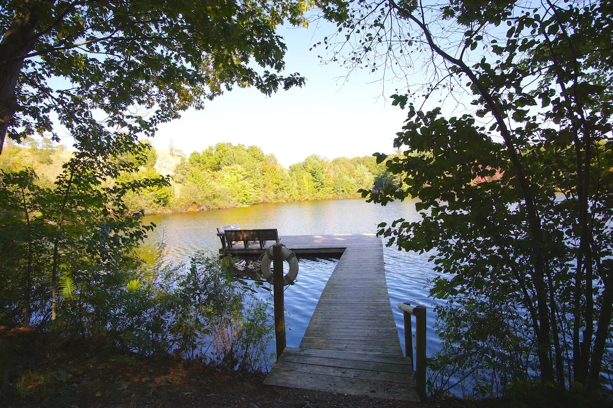 dock.webp