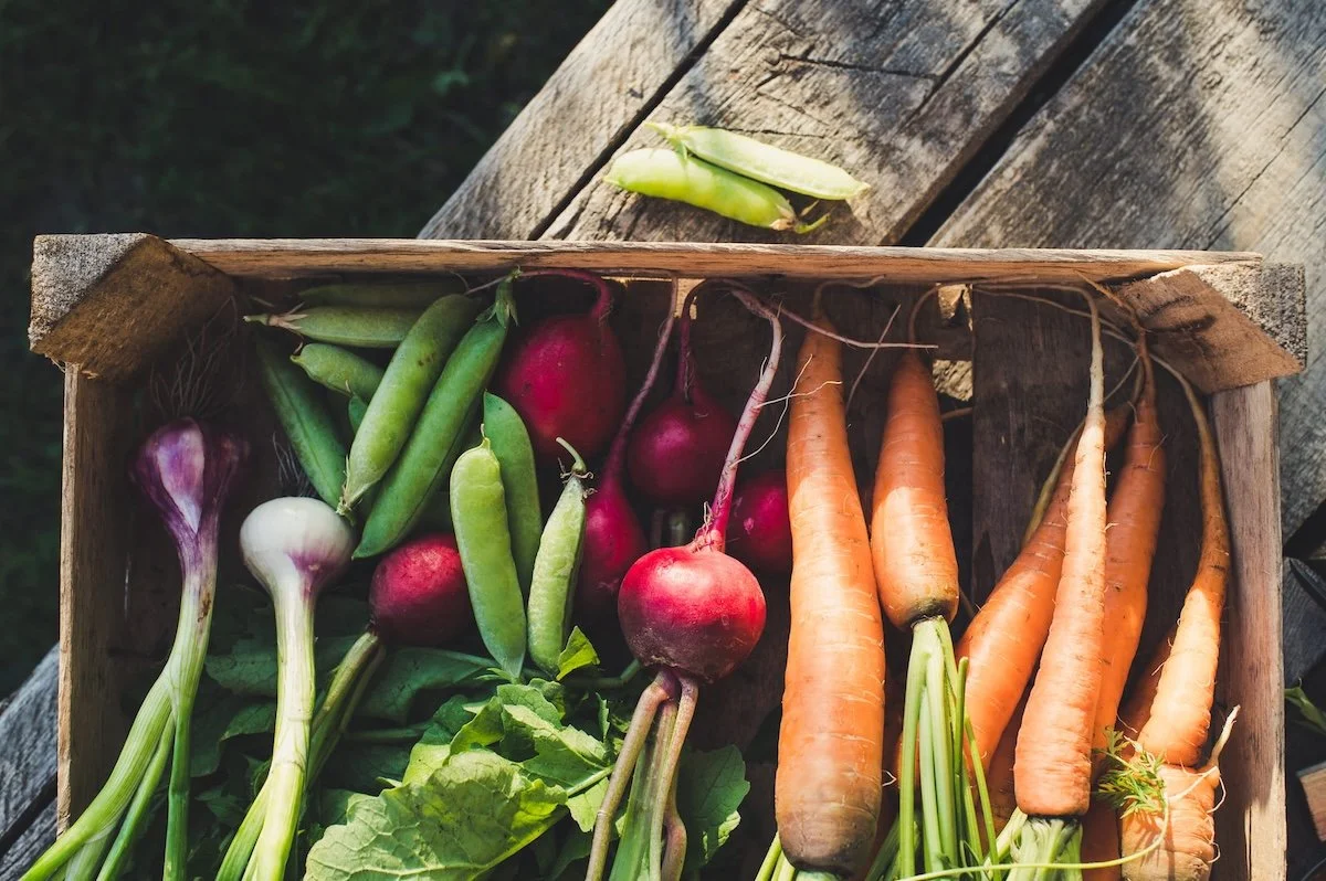Fresh vegetables including green peas, red radishes, carrots, garlic, and onions.