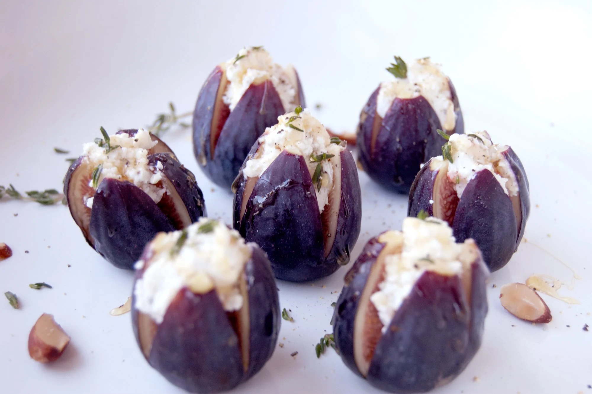 figs_8.jpg