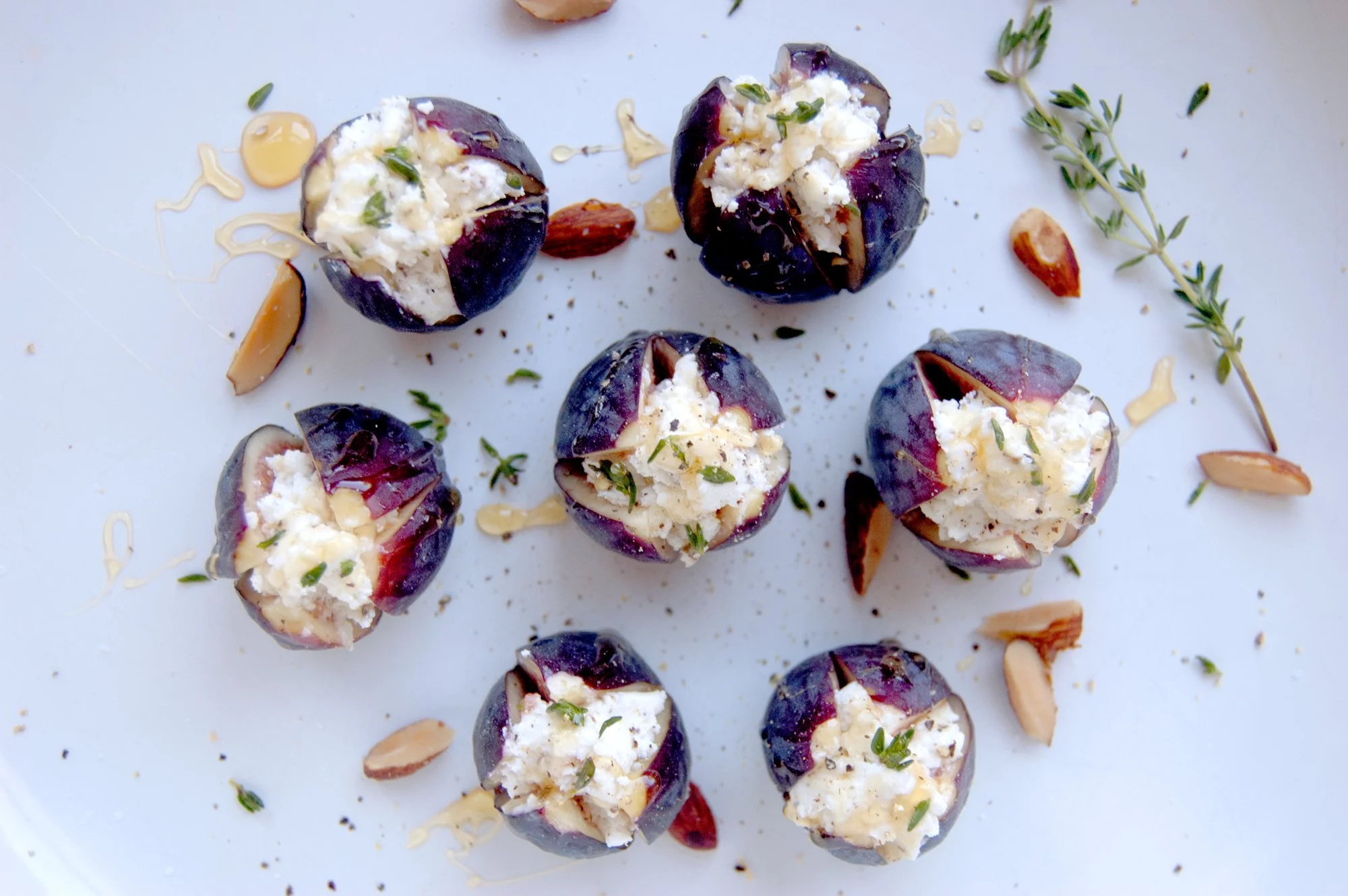 figs_9.jpg