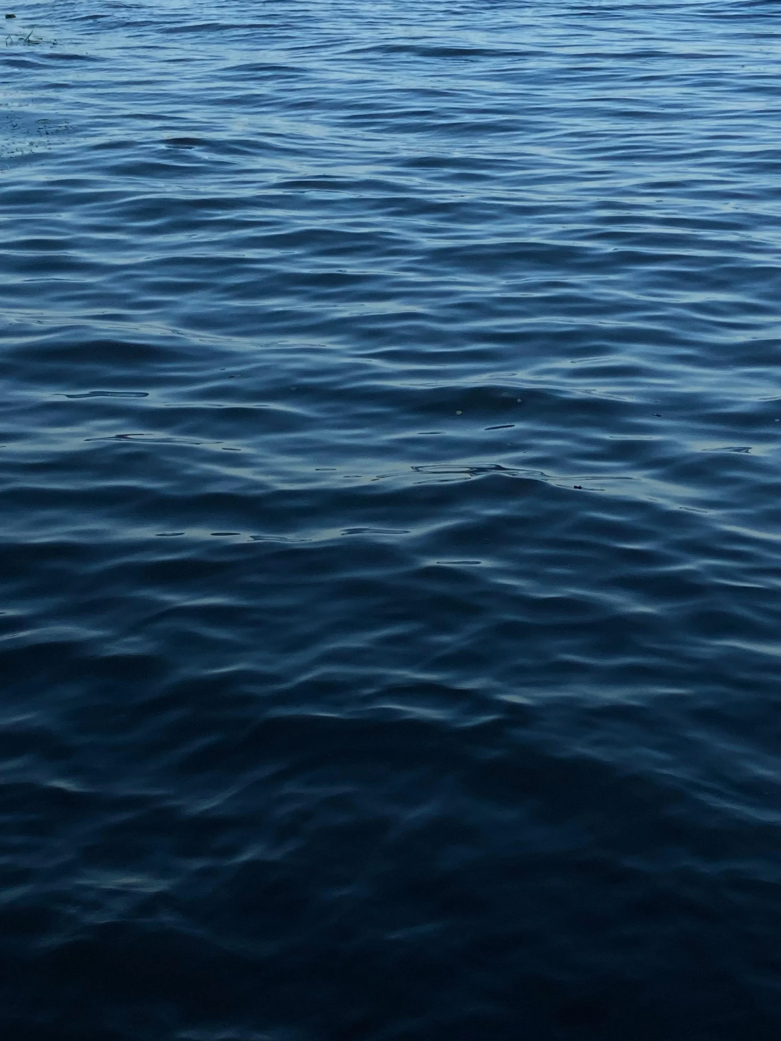 Calm ocean water representing healing from anxiety and depression through culturally informed therapy