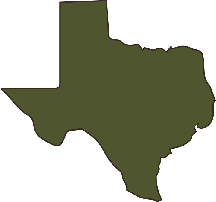 Intentional Therapy serves clients in Texas - online and in-person therapy