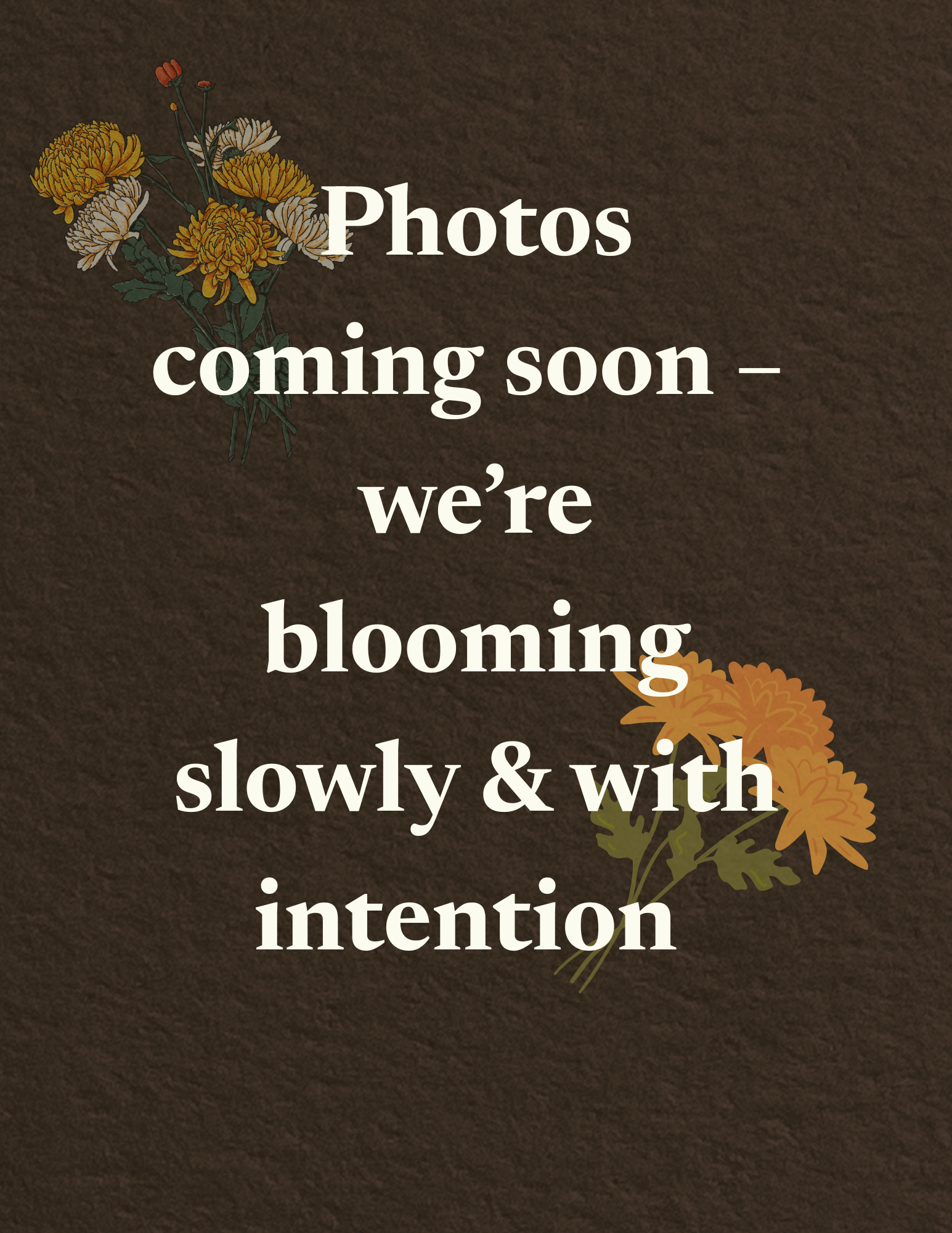 Richardson, TX therapy office — interior photos coming soon