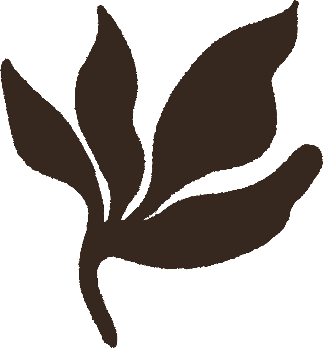 Intentional Therapy PLLC — online therapy practice serving Houston, Texas