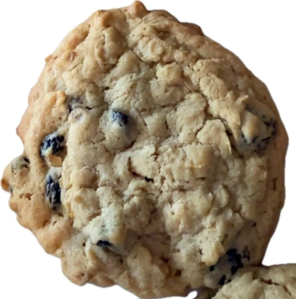 oatrai.jpg