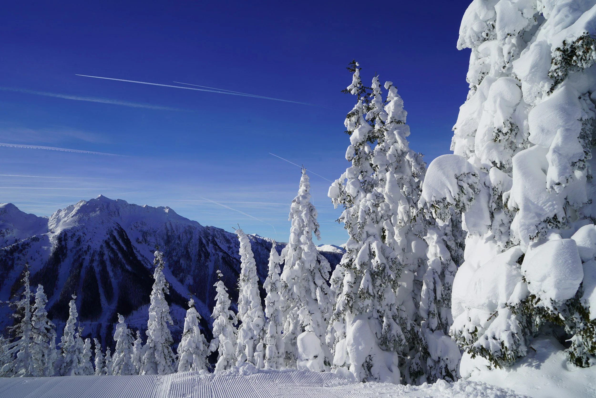 Snow-covered pine trees on a mountain landscape under a blue sky with contrails and distant peaks.