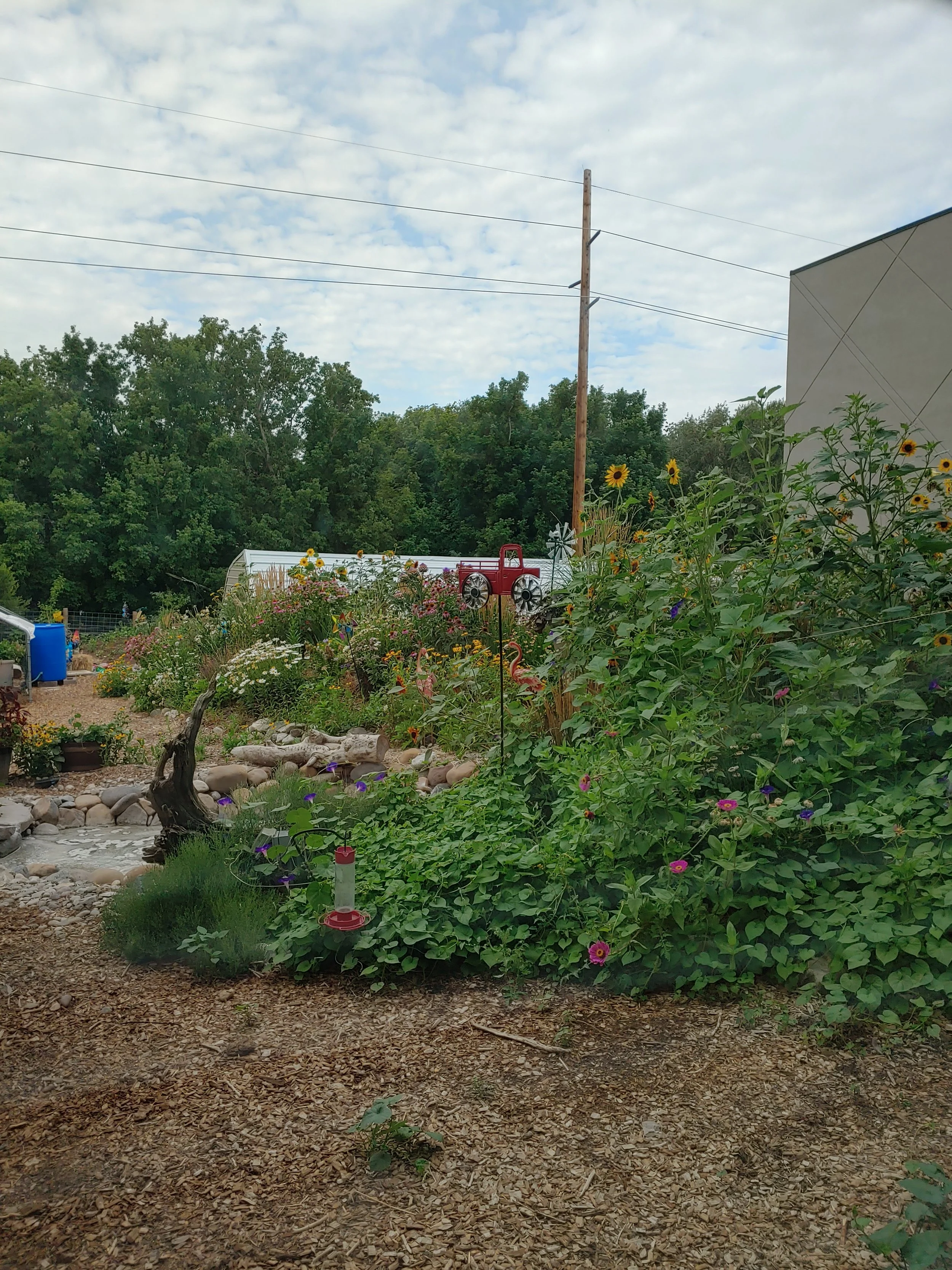20220804_092949_HDR.jpg