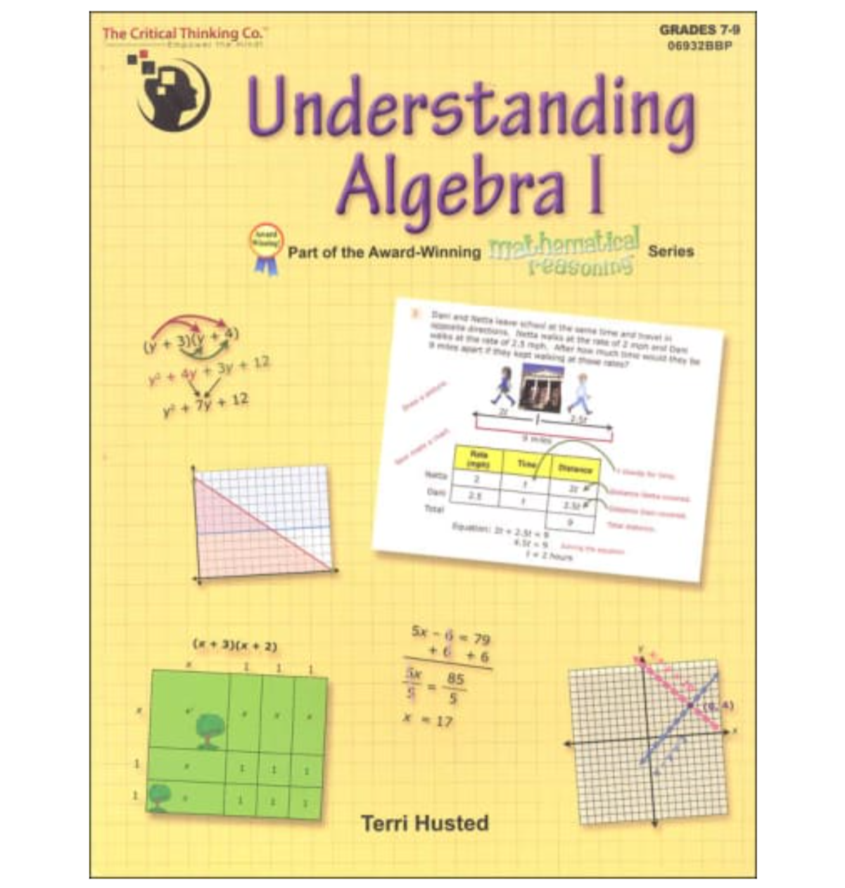 Understanding Algebra 1