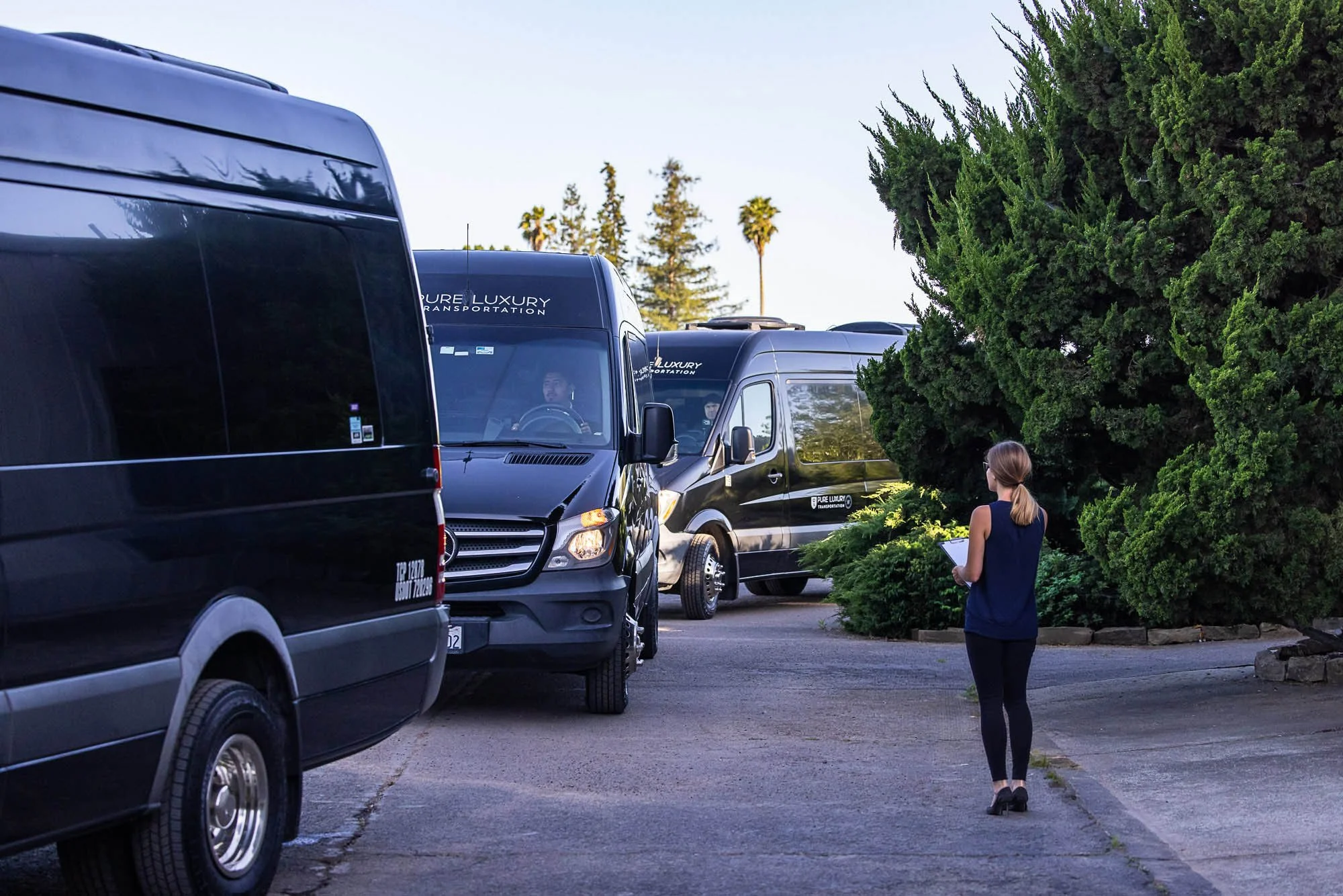 Woman in black dress and glasses holding a clipboard standing on a parking lot sidewalk surrounded by black vans with the words 'Pure Luxury Transportation' on them, greenery on the right, trees and clear sky in the background.