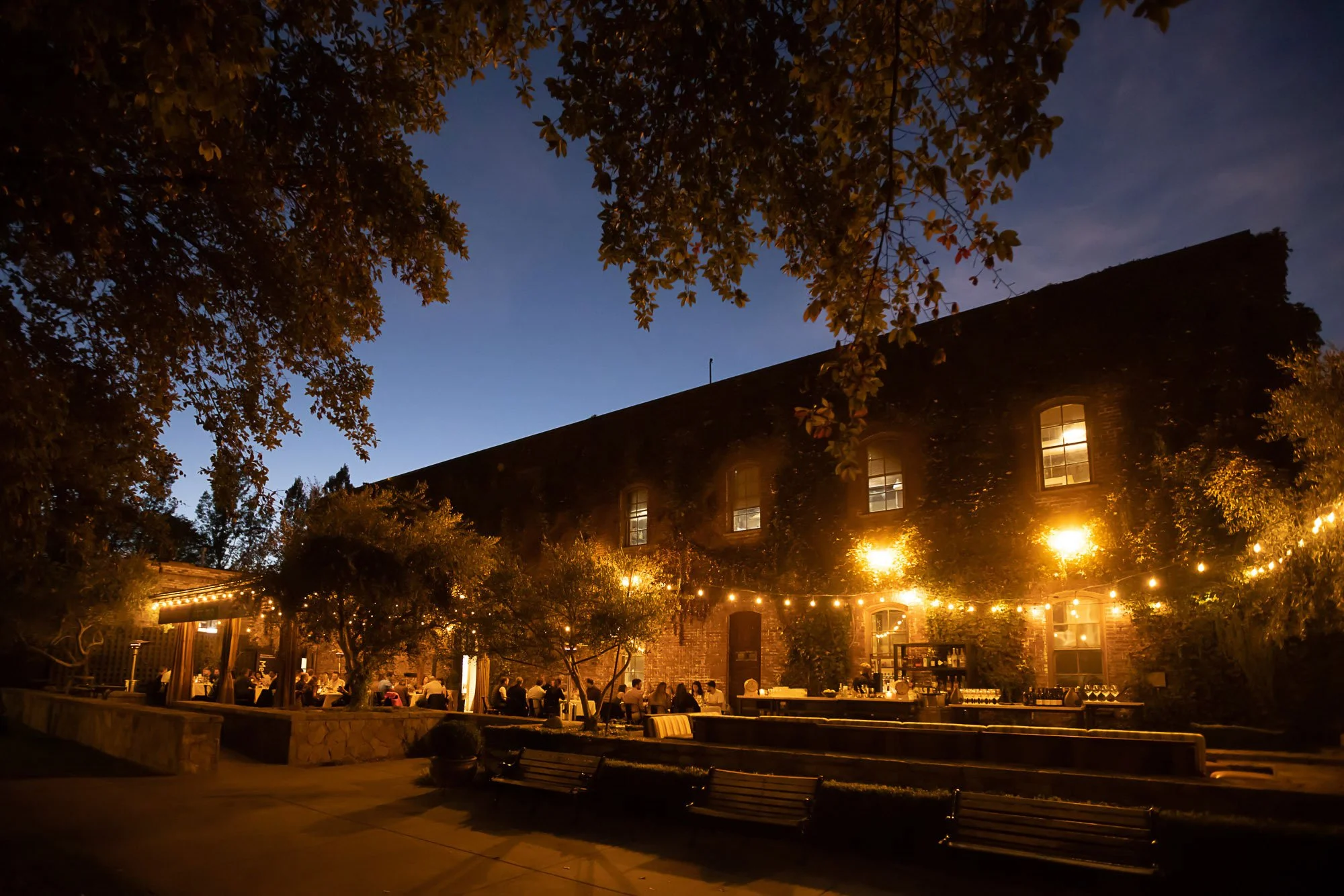 Outdoor patio scene during nighttime with string lights, people sitting at tables, trees, and a building with lit windows.