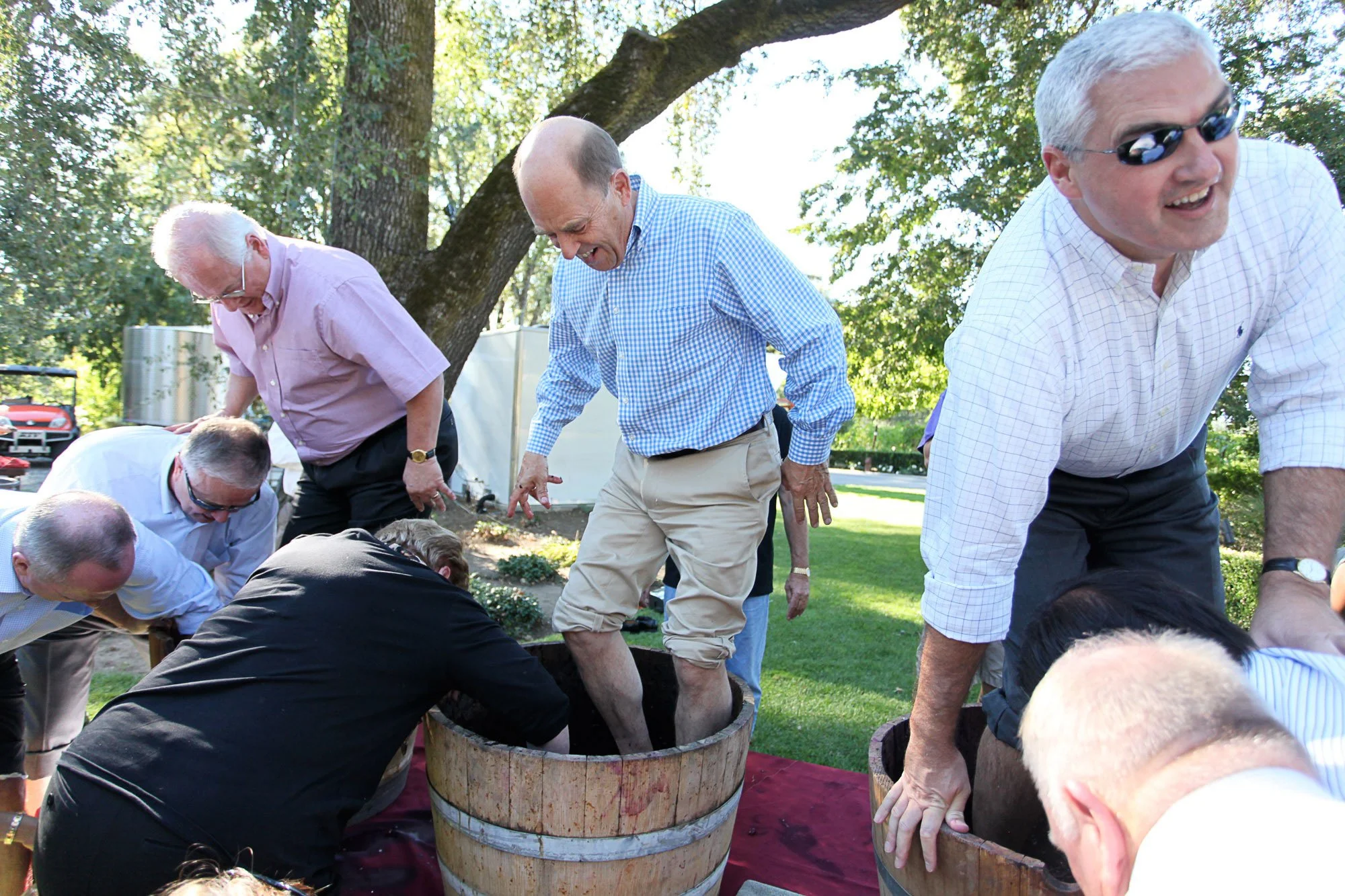 A group of men participating in a grape stomping event outdoors during daytime, with some wearing glasses and casual shirts, surrounded by trees and greenery.