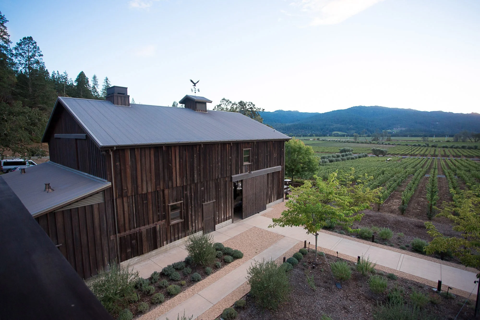 A large rustic barn made of dark wood with a metal roof, surrounded by a landscaped garden with small shrubs and a tree. Beyond the barn, there is an extensive vineyard with evenly spaced rows of grapevines stretching towards distant hills under a pa
