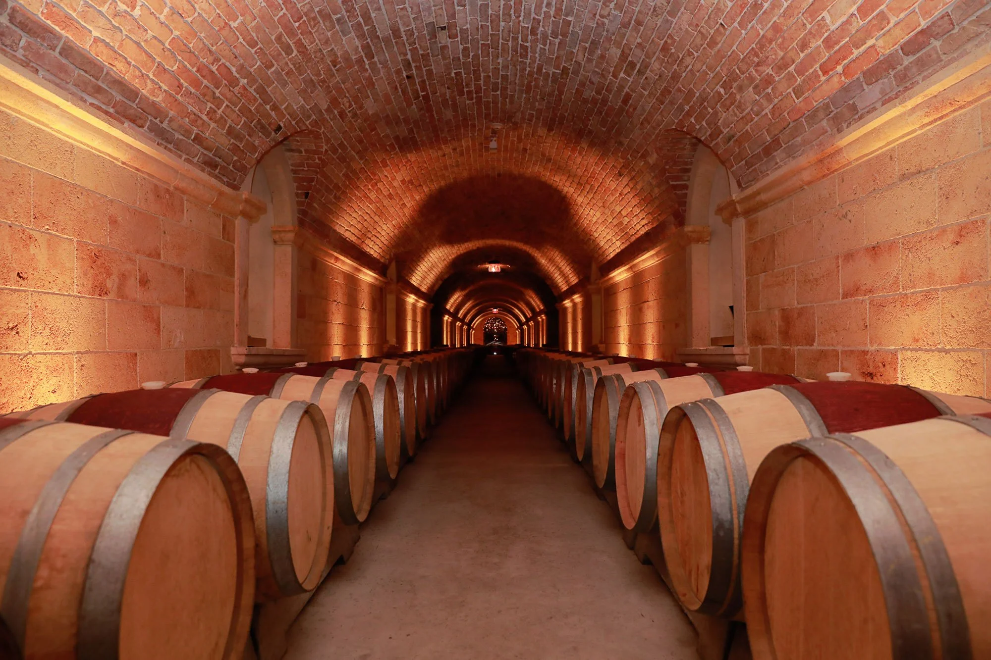 Wine cellar with a long vaulted brick ceiling and rows of barrels stacked on the floor, illuminated with warm lighting.