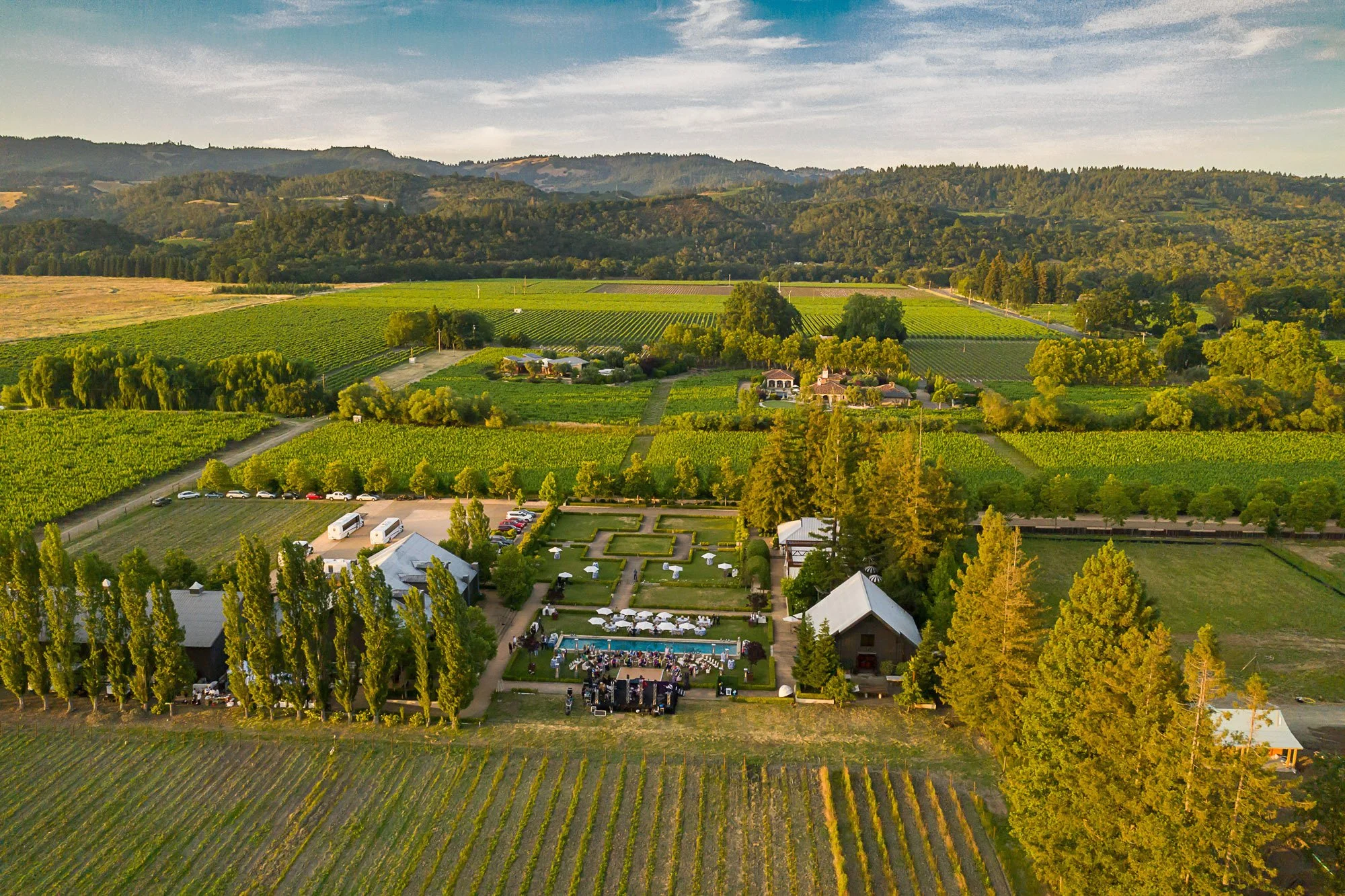 A scenic aerial view of lush green farmland with vineyards, trees, and a few buildings, with hills and a blue sky in the background.