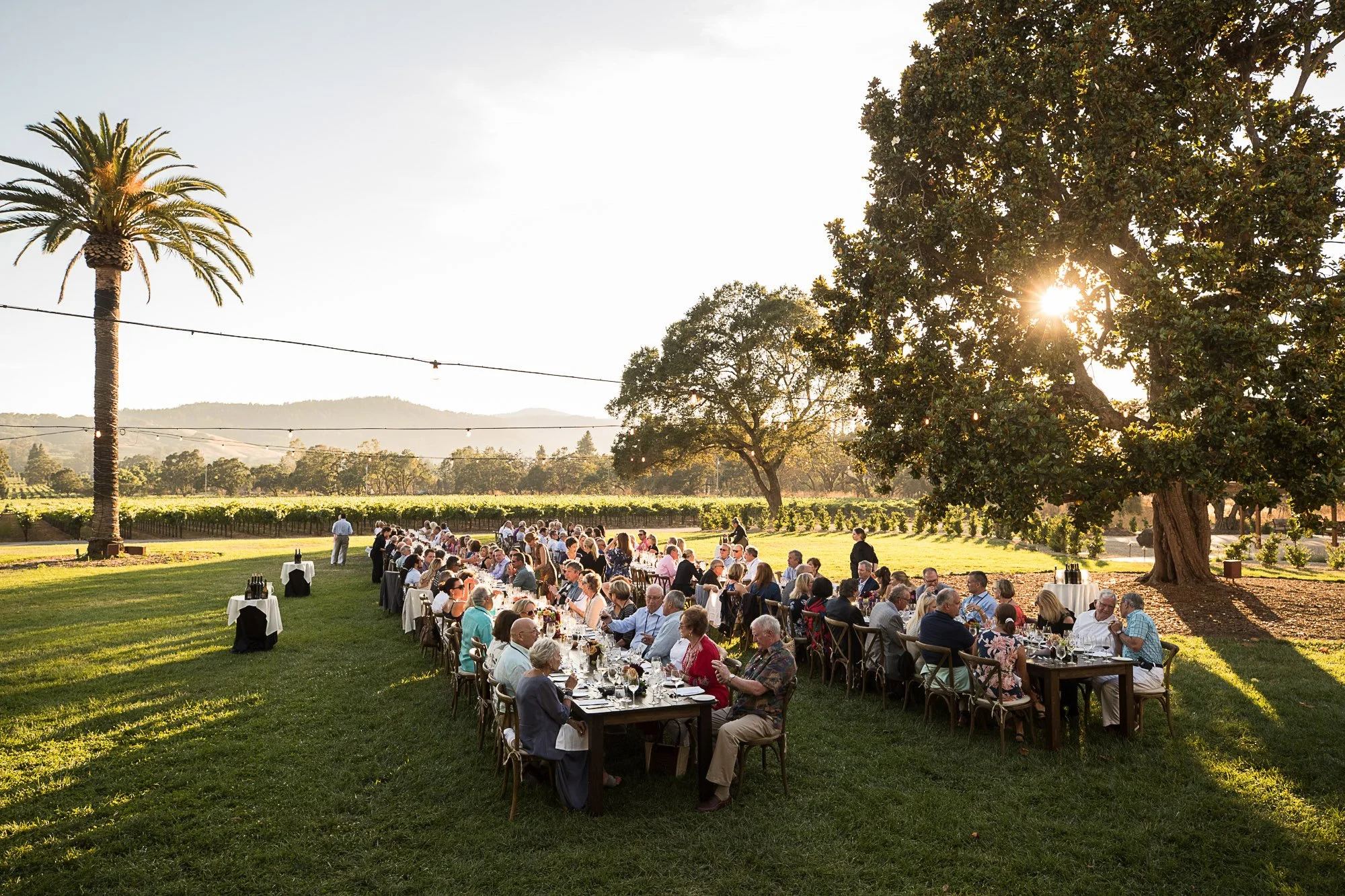 Outdoor event with long dining tables under trees during sunset, large crowd of people dining, a landscape with hills in the background, palm trees, string lights, and a bright sunny sky.