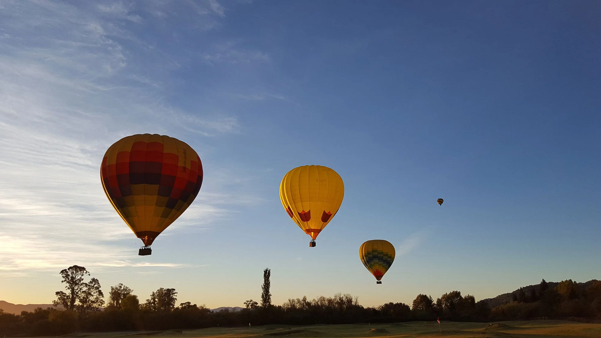 Multiple hot air balloons floating in the sky during sunset, with trees and a golf course landscape below.