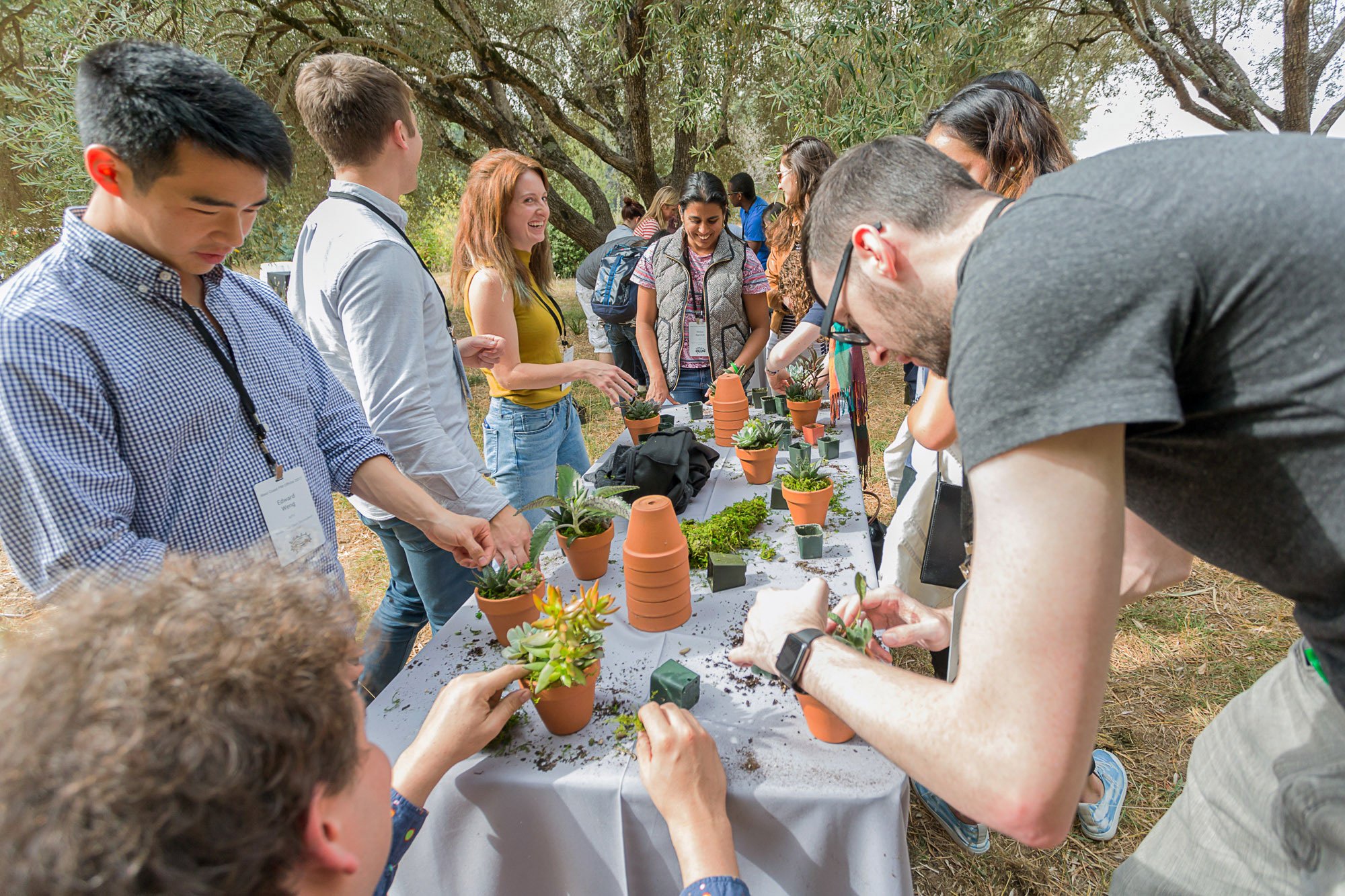 Group of people participating in a gardening workshop outdoors, planting succulents in terracotta pots on a long table covered with soil and small plants, surrounded by trees.