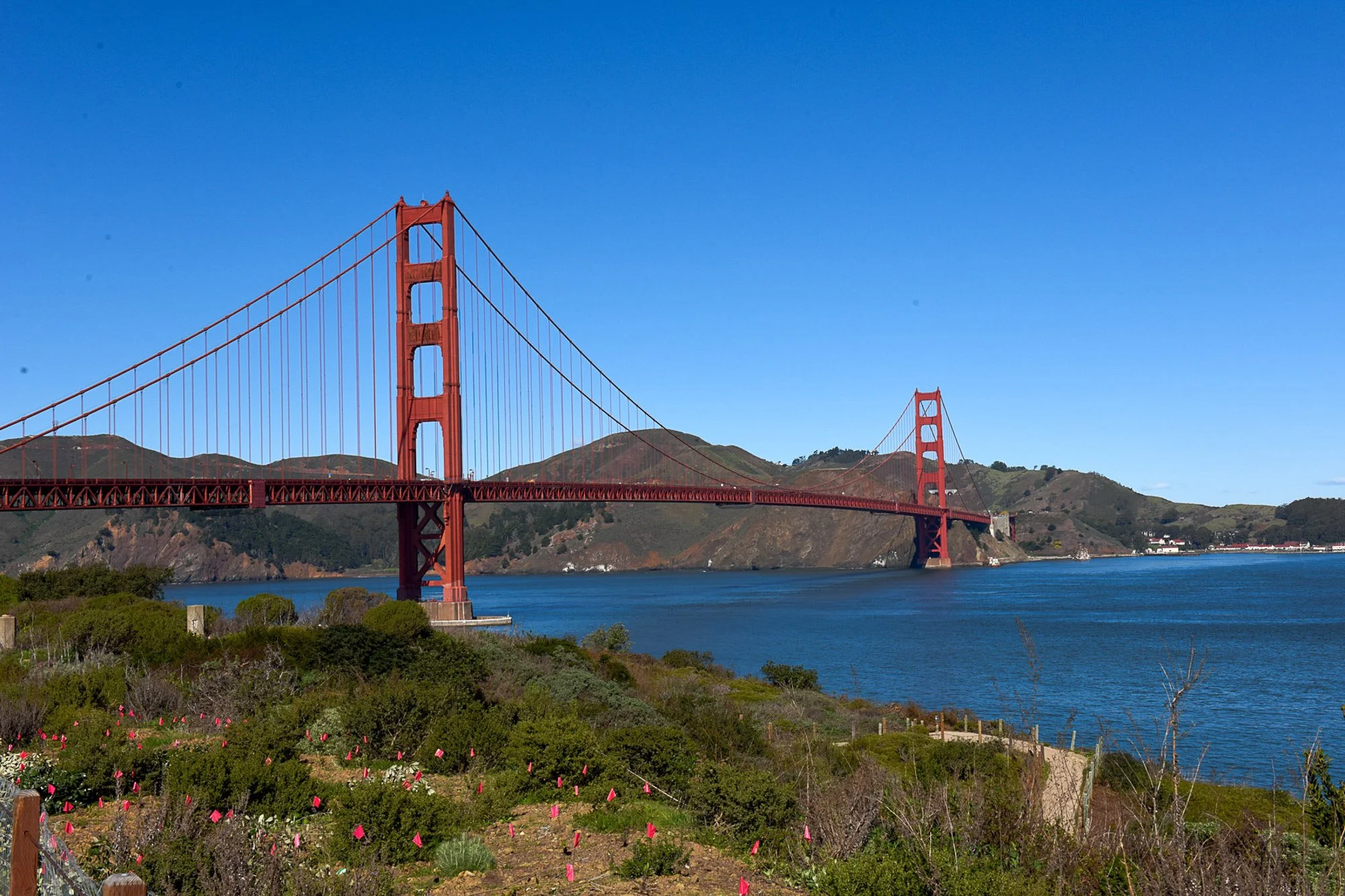 The Golden Gate Bridge in San Francisco, California, spans across the water with lush green hills in the background and clear blue sky overhead.