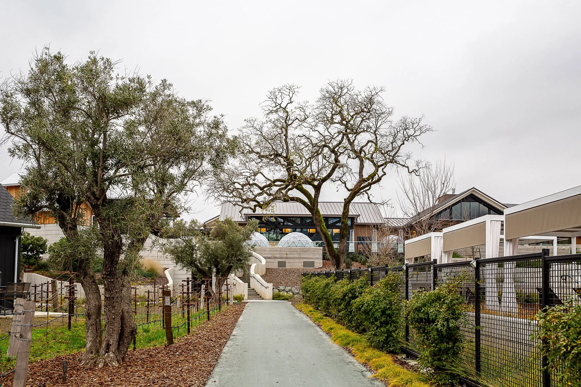A paved pedestrian pathway running through a lush garden area, lined with trees, bushes, and wire fencing, leading to modern buildings with a cloudy sky overhead.