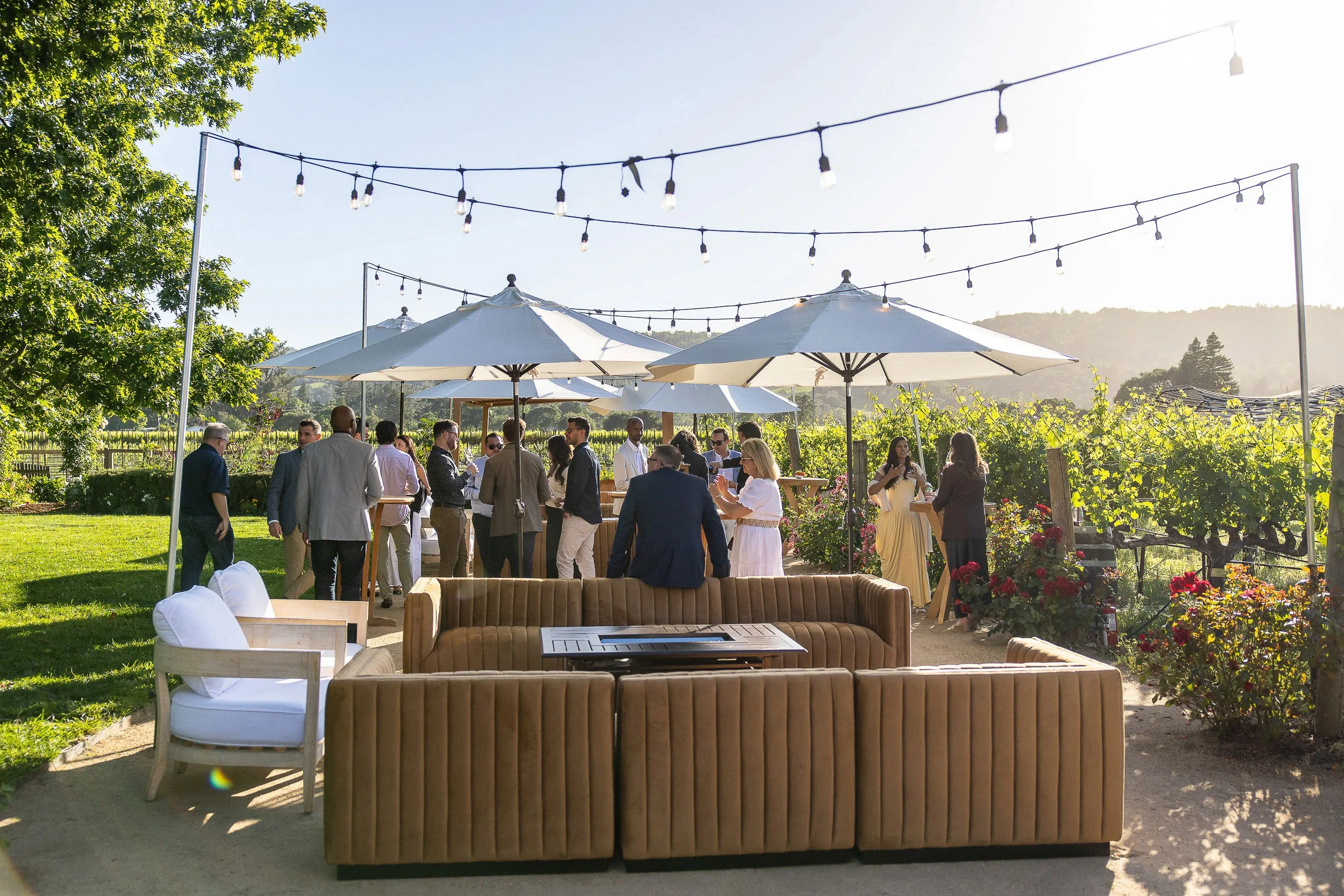 People gathering at an outdoor event with white umbrellas, string lights, and scenic vineyard in the background on a bright sunny day.