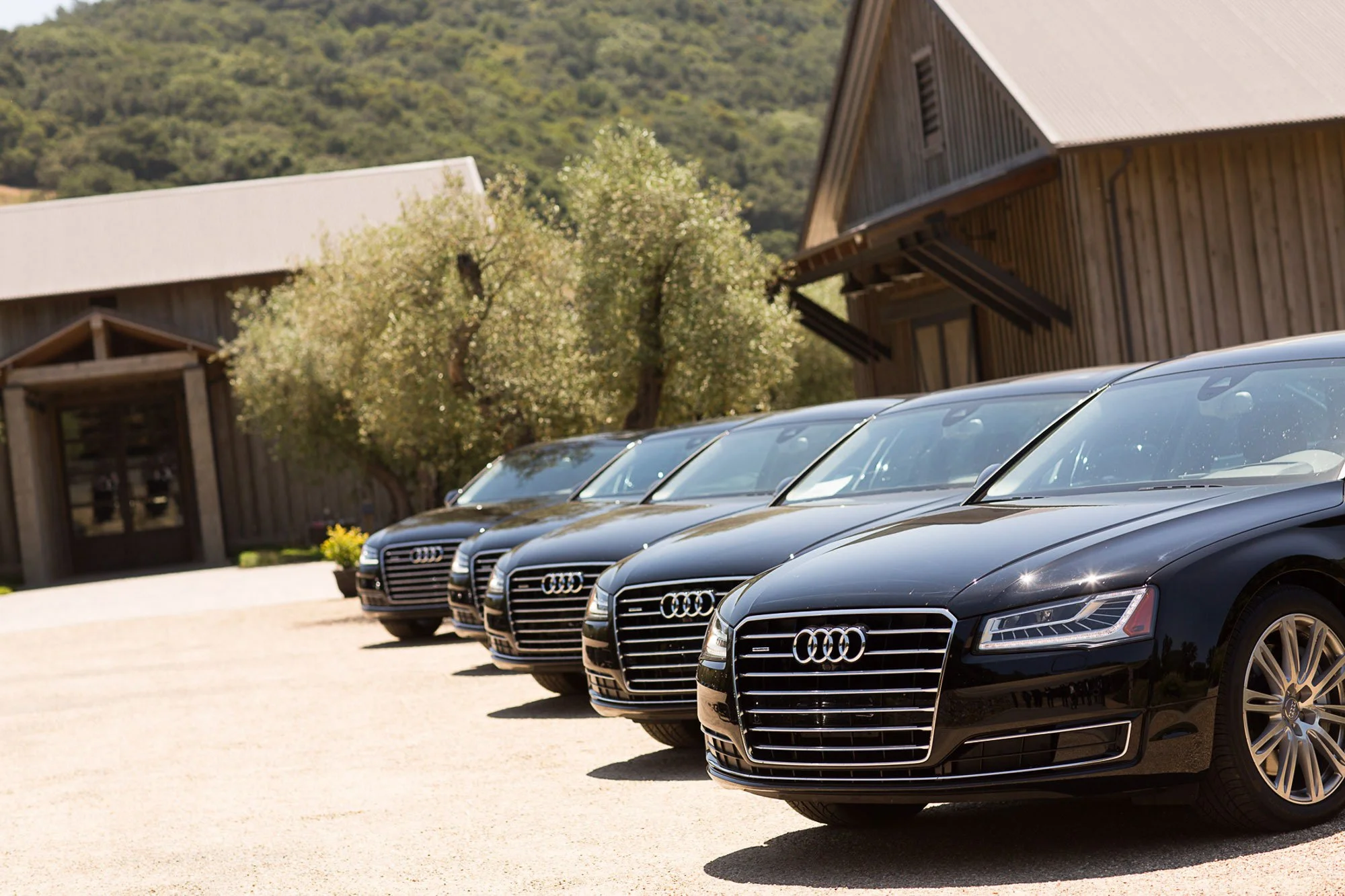 A lineup of black Audi sedans parked in front of a rustic wooden building with hills and trees in the background.