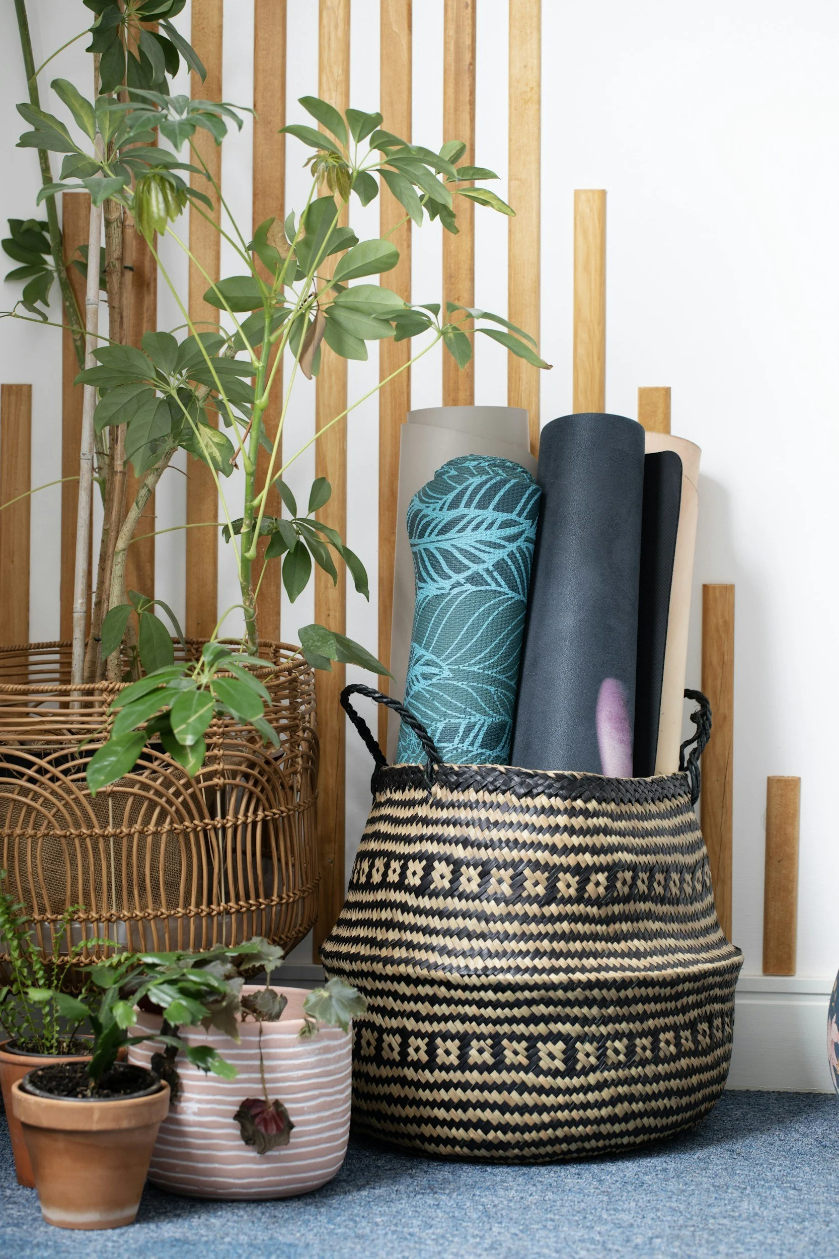 Indoor scene with potted plants, wicker baskets, and rolled yoga mats against a wooden slat wall and white wall.